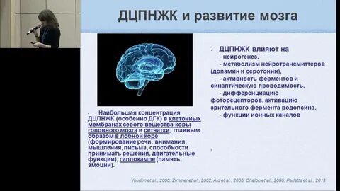 Функции мозга ребенка