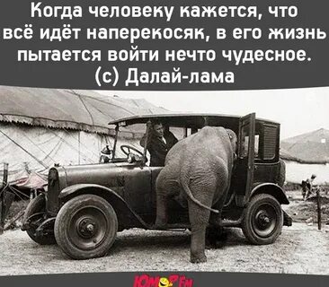 Наперекосяк