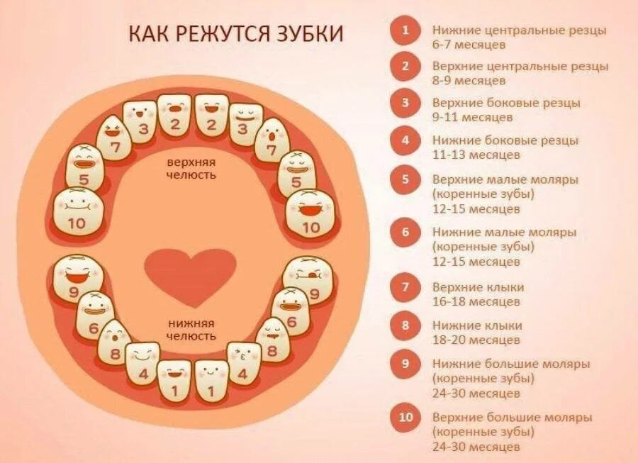 Во сколько месяцев первые зубы у младенцев. Зубы у детей порядок прорезывания молочных зубов. прорезывание зубов у детей последовательность до года. поочередность прорезывания зубов у детей схема. зубки у малышей порядок прорезания схема.