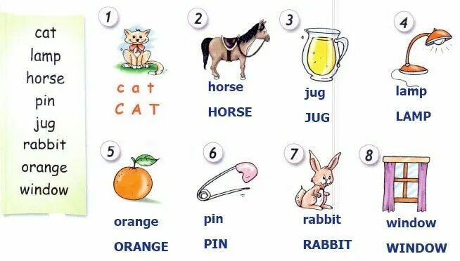 2 класс спотлайт алфавит задания. Алфавит спотлайт 2 класс. Английский в фокусе 2 класс алфавит. Учим слова spotlight 2 класс. Учим слова spotlight 2 класс.