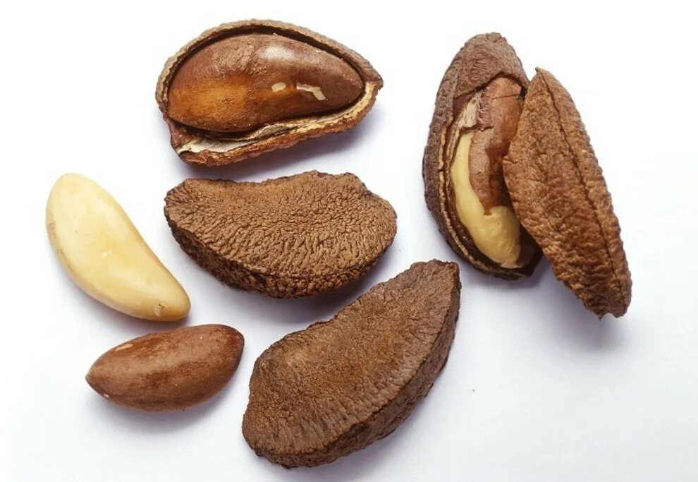 Орех пикантный. Турецкий орех. Орехи в Турции. Орех коричневый овальный. Турецкий фундук.