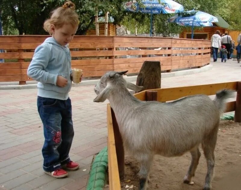 Лесная братва нижний тагил зоопарк. 9 мая зоопарк. Контактный зоопарк нижний тагил на ленина 25а. Контактный зоопарк нижний тагил мира 24. Зоопарк лимпопо нижний новгород русская деревня.