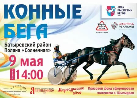Чувашский конный завод