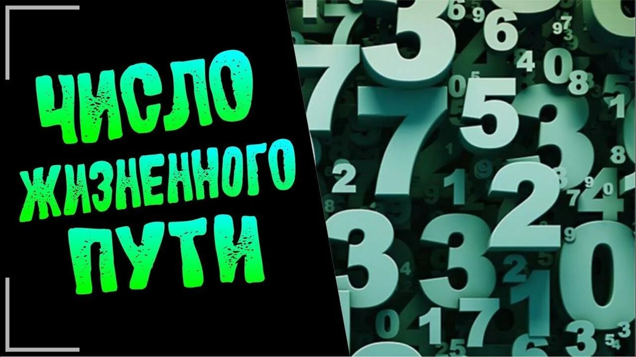 Жизненное число 11. Число жизненного пути. число жизненного пути в нумерологии. жизненный путь нумерология. нумерология иллюстрация.