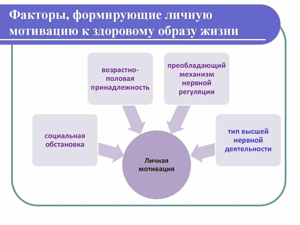 Под влиянием каких факторов формировался человек