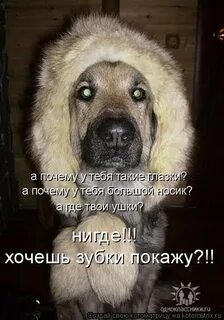 Твои уши