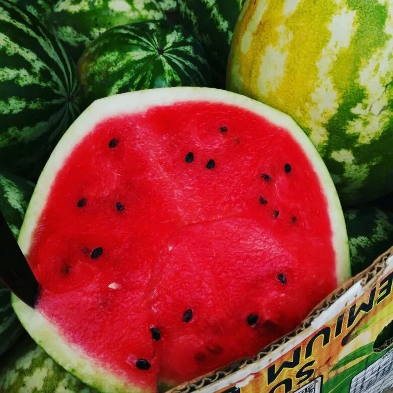 Арбузы сорта отзывы. Саката семена арбуза осман. Арбуз бедуин f1. Думара f1. Арбуз сорт голд f1.