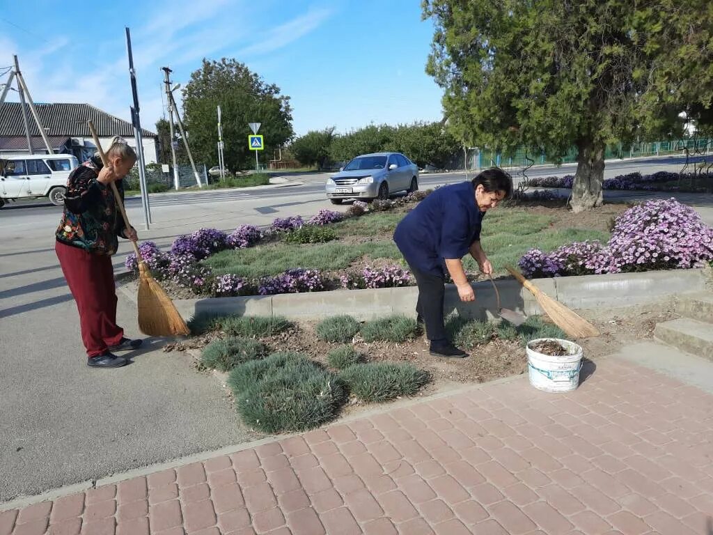 График участия в общегородском субботнике. Общегородской субботник 2024 санкт петербург