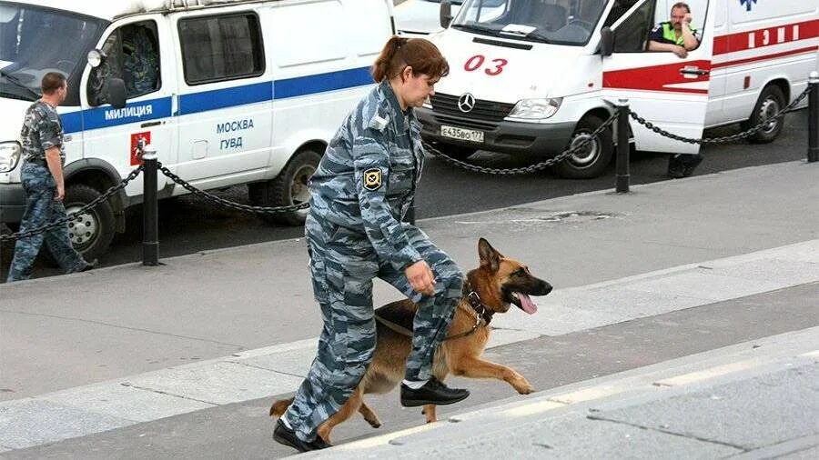 Минирование статья. Ложное минирование. кинолог в тц. мчс полиция.