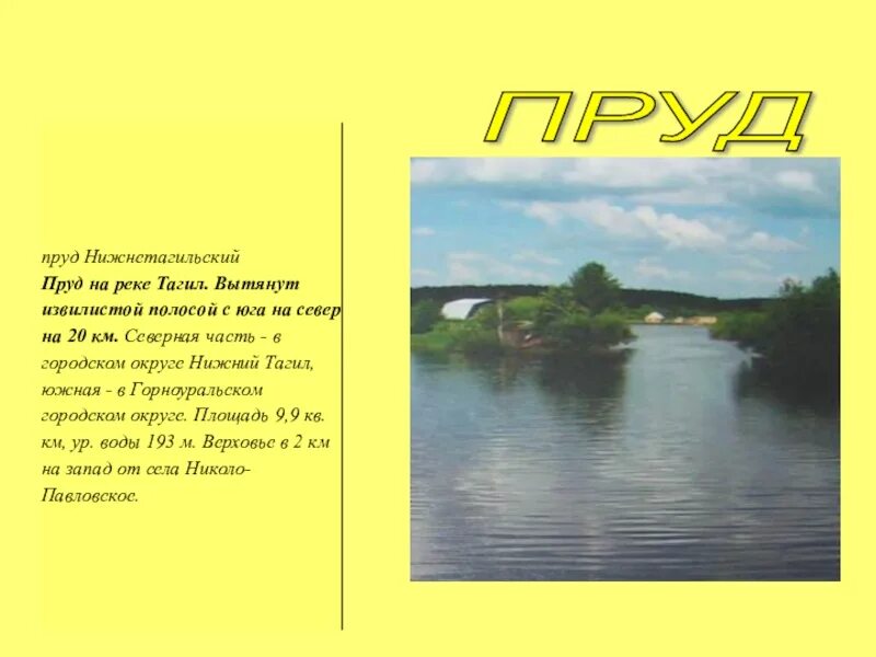 Загадка водоем. Водоемы окружающий мир. Пруд для презентации. Сообщение о пруде. Пруд окружающий мир.