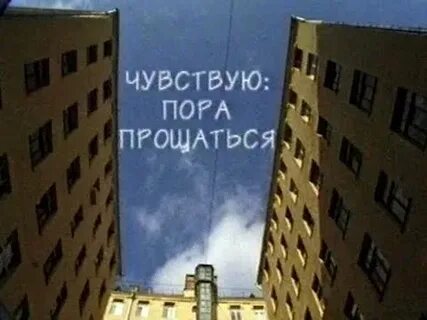 Чувствуют порами