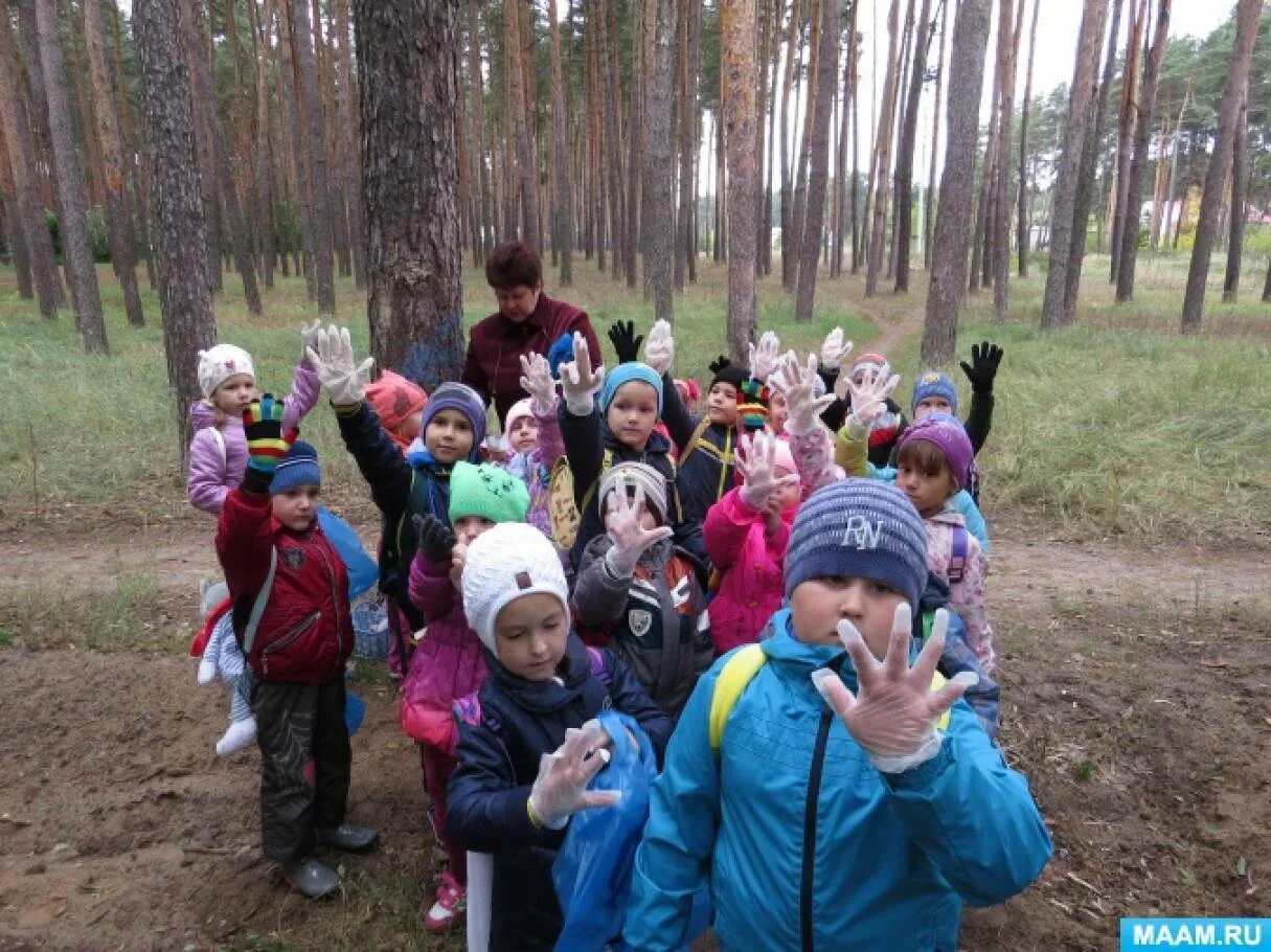 Походы в группе старшая группа. Прогулки походы в детском саду. Осенний поход в лес средней группе. Поход старший группы.