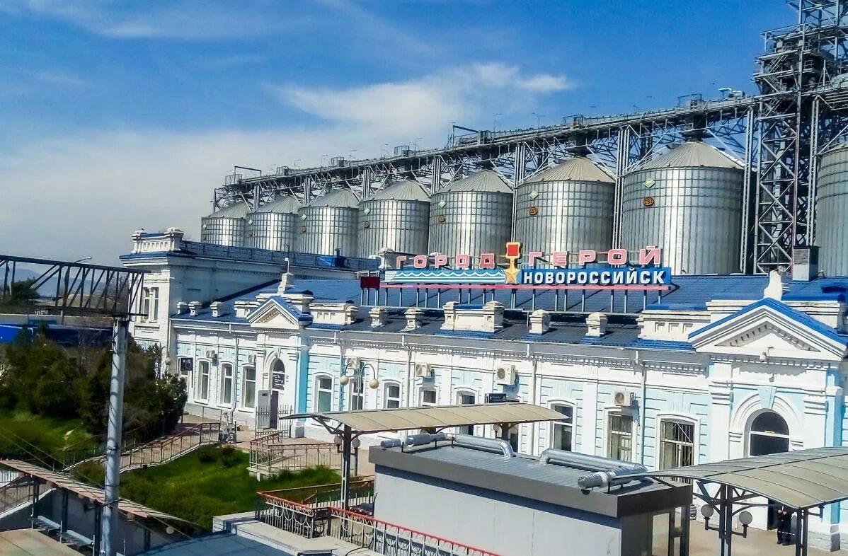 Немцы в новороссийске. Памятник морякам революции в новороссийске. Строительный колледж новороссийск. Управление образования новороссийск. Танцы новороссийск.