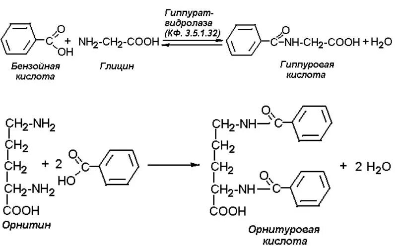 Бензойная кислота схема. Диметиламин и бензойная кислота. Гиппуровая кислота Синтез. Образование бензойной кислоты. Глицин бензол