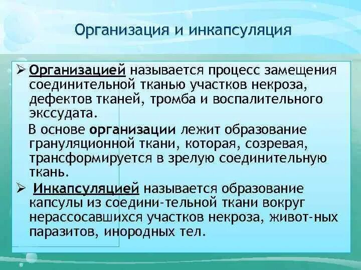Процесс замещения соединительной тканью. Организация и инкапсуляция. процесс замещения соединительной тканью участков некроза. организация и инкапсуляция в патологии. замещение соединительной тканью участков некроза это.