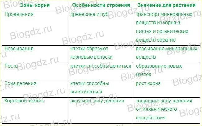 Зона корня особенности строения значение таблица. Таблица особенности строения корня растения 6 класс. Таблица биология зоны корня особенности строения. Таблица особенности строения корня растения.