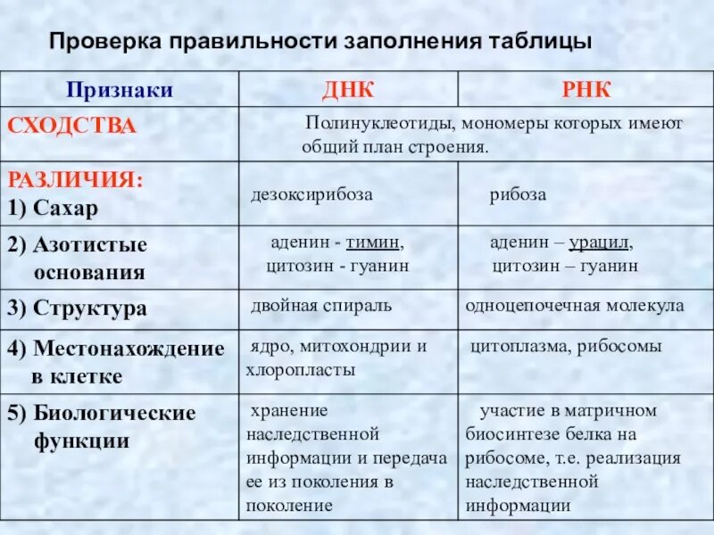Заполнить таблицу нуклеиновые кислоты. Таблица по биологии нуклеиновые кислоты днк и рнк. таблица биология 9 класс днк и рнк. биология 9 класс нуклеиновые кислоты днк и рнк таблица. строение днк и рнк таблица.