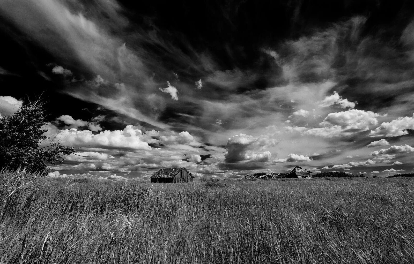 Monochrome sky