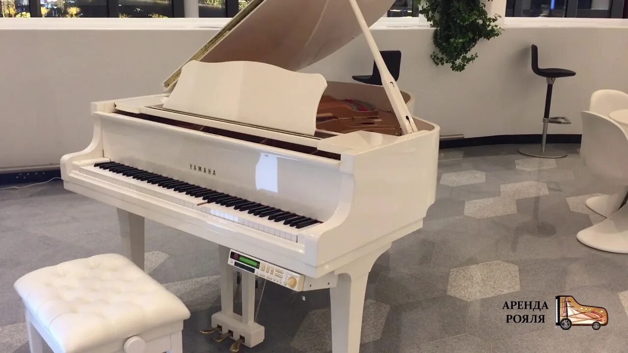 Рояль steinway рахманинова. Красивый белый рояль. Крепкий орешек 4 мэй. Бела рояль. Бела рояль.