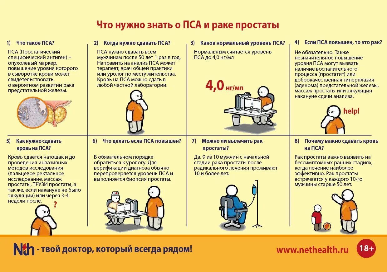 В какой срок нужно сдать