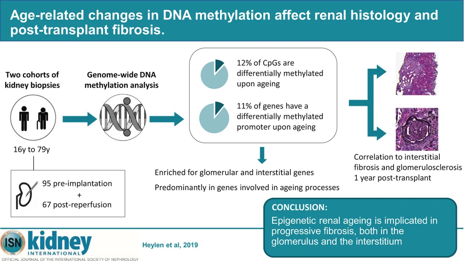 Kidney International. Age-related changes in pharmacokinetics. Kidney INT.. 10.1016/J.bioadv.2022.213049.