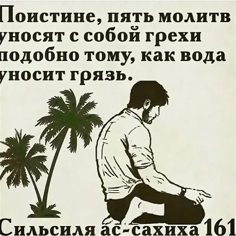 Подобна греху. Грешник подобен псу. Грешник подобен мертвому.