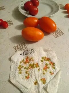 Помидоры из собранных семян