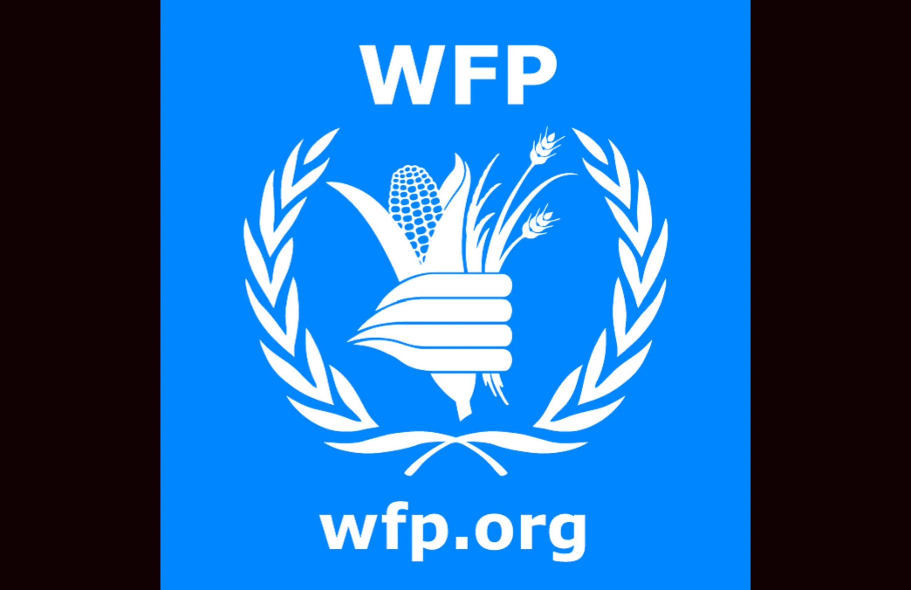 WFP логотип. Всемирная продовольственная программа. Всемирная продовольственная программа ООН. Всемирная продовольственная программа логотип. Продовольственная оон