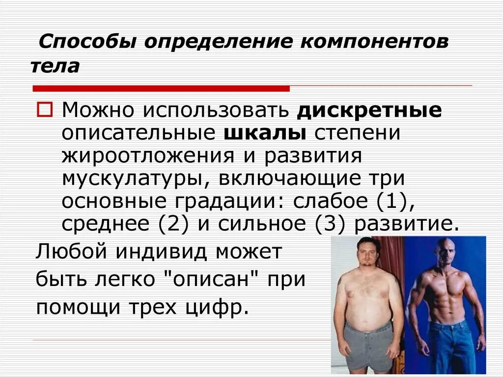 Конституция факторы