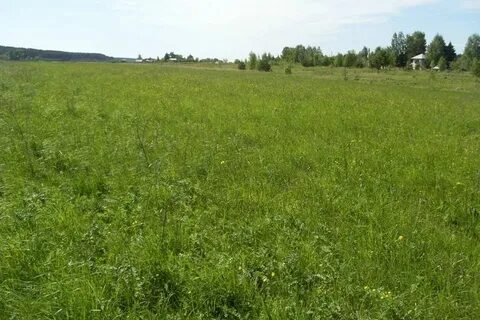 Участок пожарское