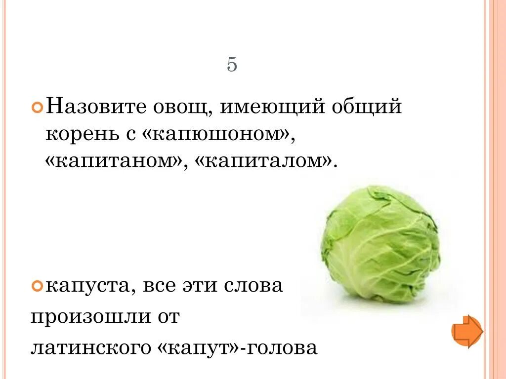 Что называют овощами. Назовите овощи имеющий Общие корни с капюшоном. К капустным овощам относят. Капитан капуста. Кого называют овощем.