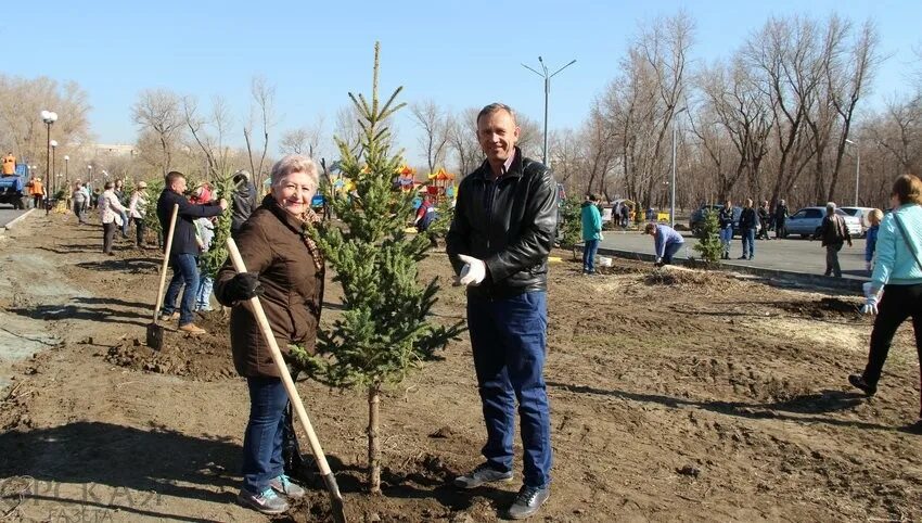 Разбитый парк. Парк разбит. Кенилуэрт роуд. Парк у дворца молодежи екатеринбург. Разбить парк.