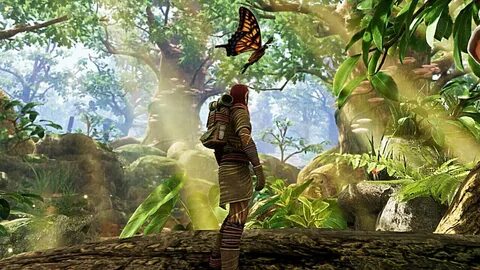 The wilds
