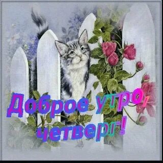 Доброе утро февральского четверга