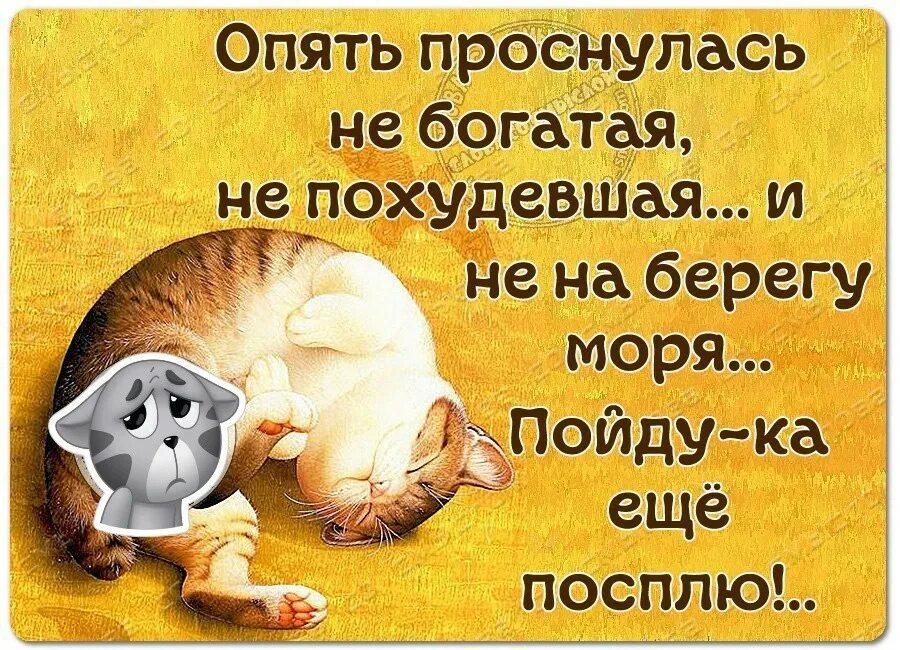Утро четверга картинки смешные. Смешные картинки про четверг. Статус про четверг прикольные. С добрым утром четверга прикольные. Весёлого четверга картинки.