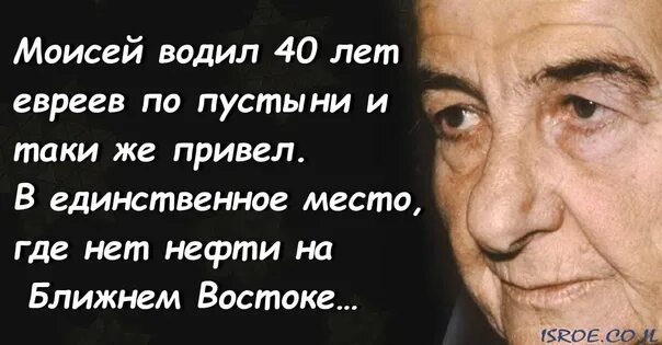 Зачем 40 лет водил по пустыне. Зачем 40 лет водил по пустыне. Заболел прикол. Зачем 40 лет водил по пустыне. 40 лет водил по пустыне свой народ.