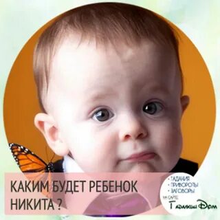 Какой цветок напоминал никите младенца
