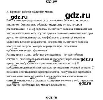 Упражнение 21 8 класс