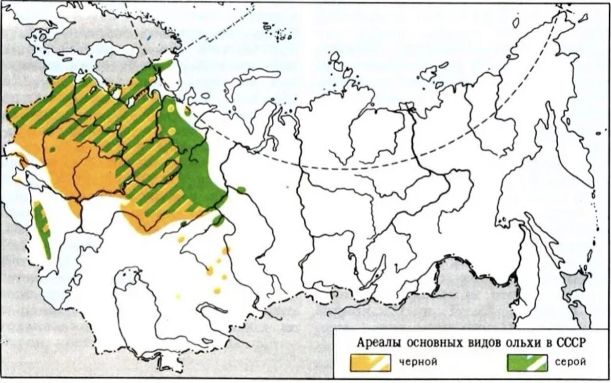 Включи ареал. Включи ареал