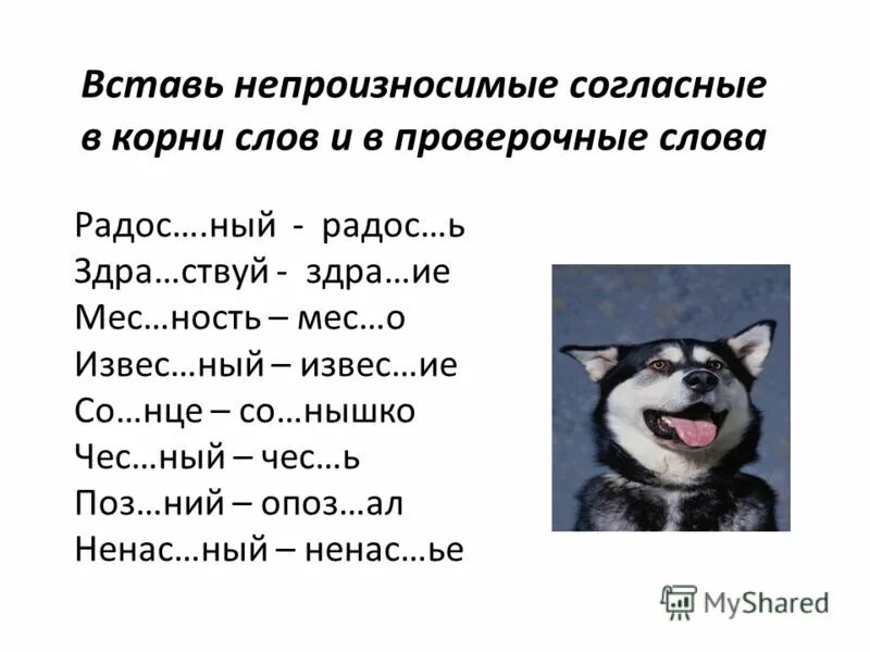 Непроизносимый согласный в корне слова карточки. Непроизносимая согласная в корне 3 класс задания. Карточки задания по русскому языку 3 класс непроизносимые согласные. Карточки с непроизносимыми согласными в корне слова 3 класс. Задания на непроизносимые согласные 3 класс.