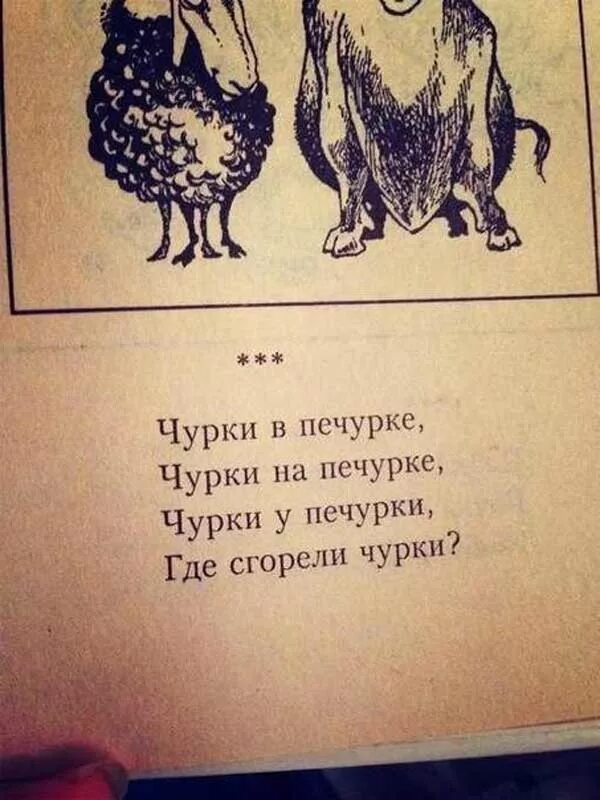 Стихи про чурок. Чурку в печурку. Стих про чурок прикольный. Чурки сгорели в печурке.