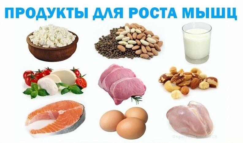 Что можно есть в рост. Продукты для роста мышц. Продукты питания для мышц. Полезная еда для мышц. Ародуктыдля роста мышц.