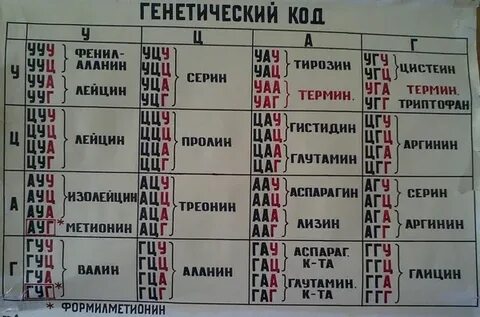 Используя таблицу генетического