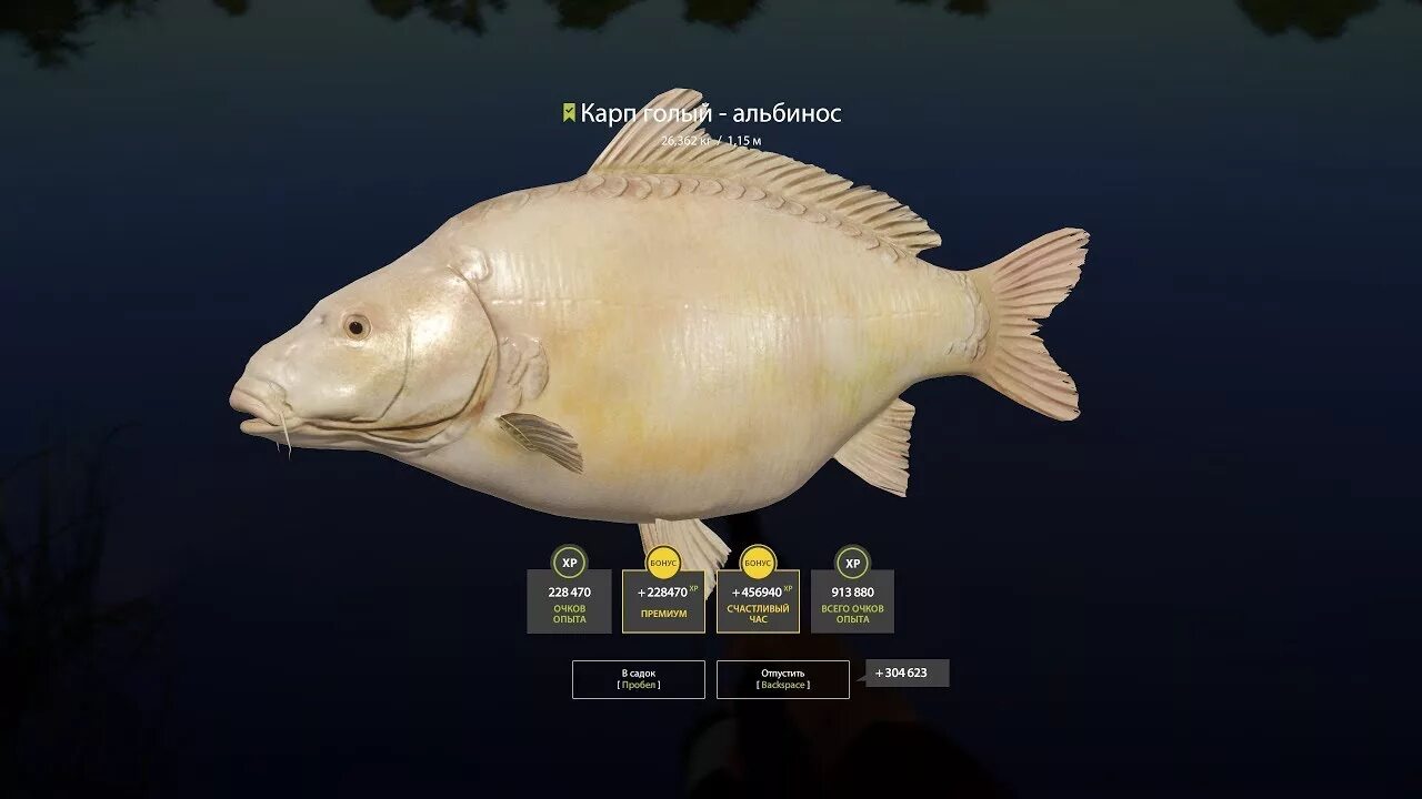 Синий карп зеркальный рр4. Russian fishing 4 карп. Карп зеркальный рр4 комариное. Карп зеркальный рр4. Карп рамчатый призрак.