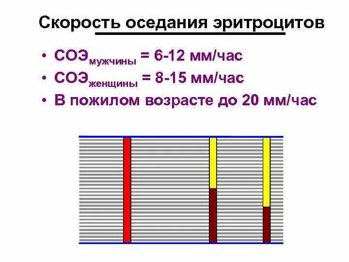 норма соэ в крови у женщин после 40 лет таблица. соэ в крови что это. соэ норма у женщин 40 лет таблица. соэ норма в 70 лет. нормы общего анализа крови у взрослых таблица.