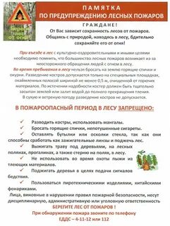 Лесная профилактика