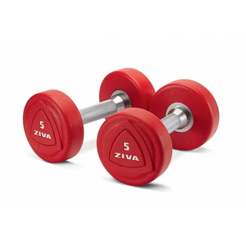 Dumbbell Set набор гантелей. Штанги Ziva. Гантели Ziva. Гантели Atemi ad022 2x1kg Pink.