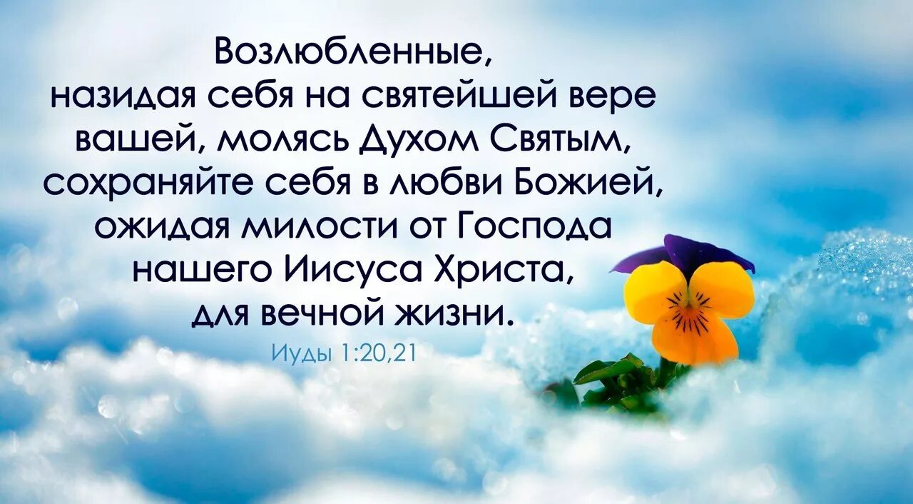 Христианские высказывания. Библейские стихи. Библейские стихи о любви. Стихи из Библии про любовь Божью. Буде буде св