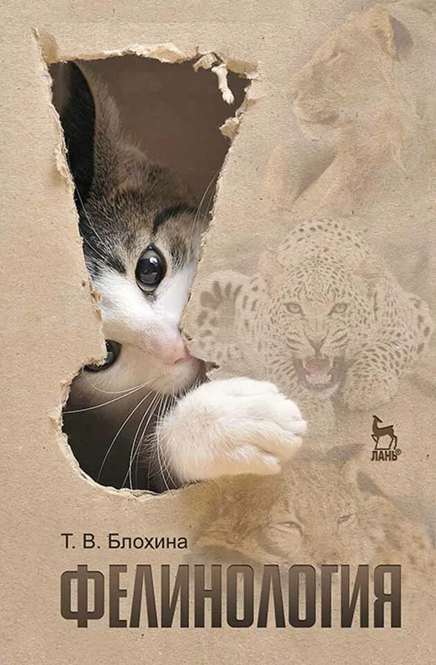 Фелинология наука о кошках. Фелинология это наука изучающая. Фелинология наука о кошках. Кошка фелинология. Фелинология это наука.
