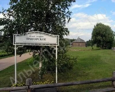 Пушкинские горы билеты